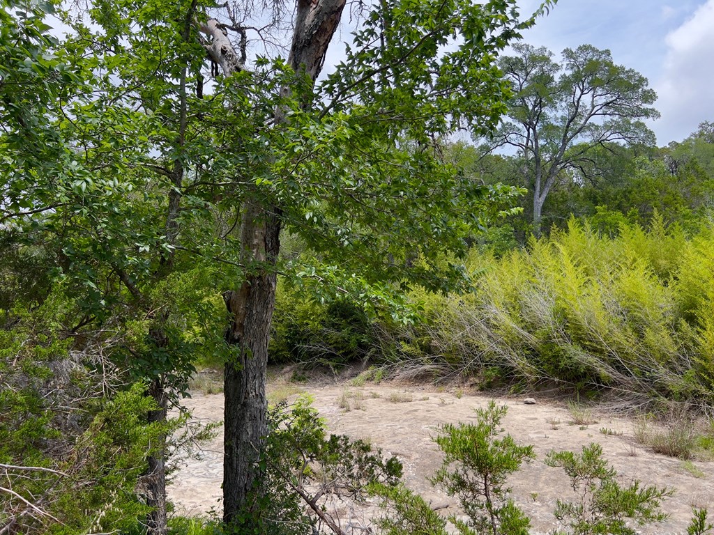 Tbd Narrows Road, Unit 19PT Blanco, TX 78606 - Photo 3 of 8