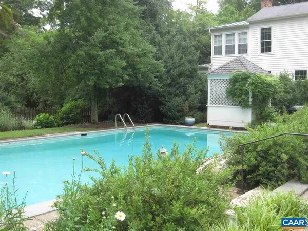 a view of a backyard with plants and a lake