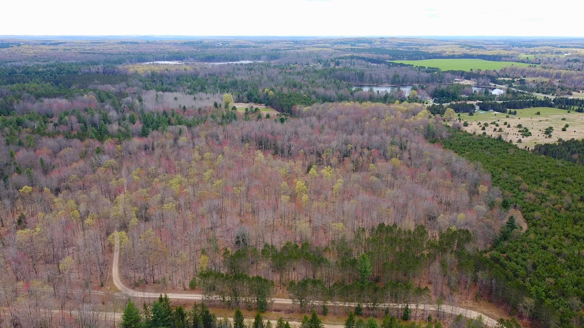 Southeast Spencer Road Southeast Kalkaska, MI 49646 - Photo 23 of 36