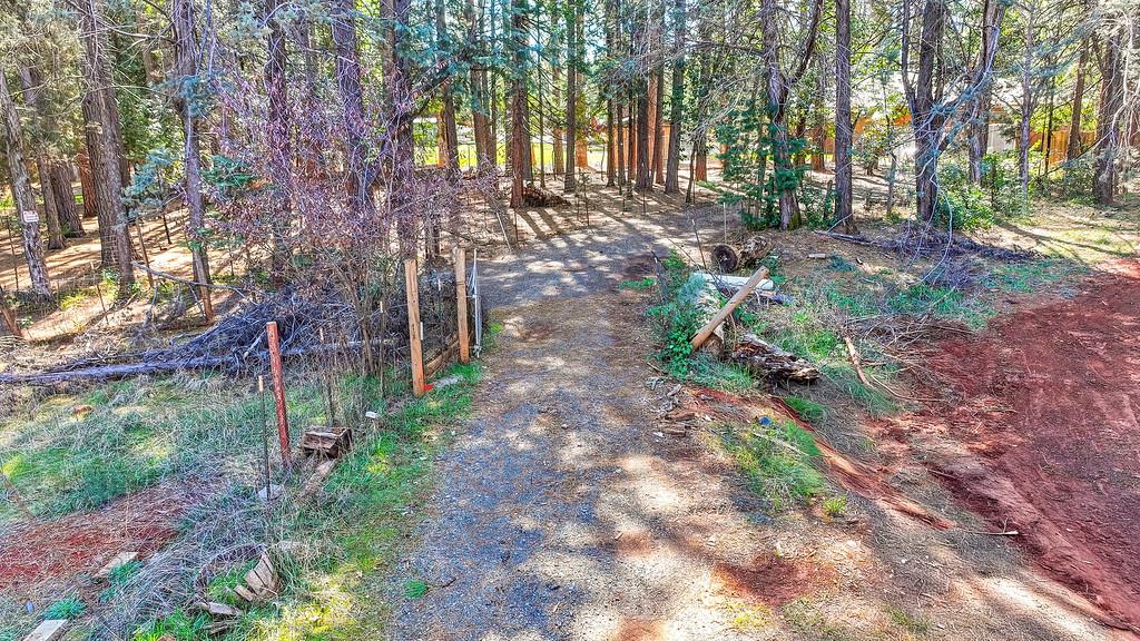 5404 Forbestown Road Forbestown, CA 95941 - Photo 6 of 14 a backyard of a house with lots of green space