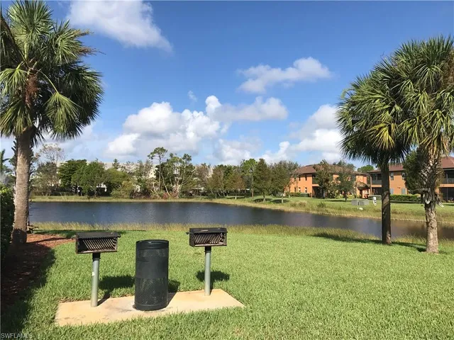 a view of a lake with a palm tree