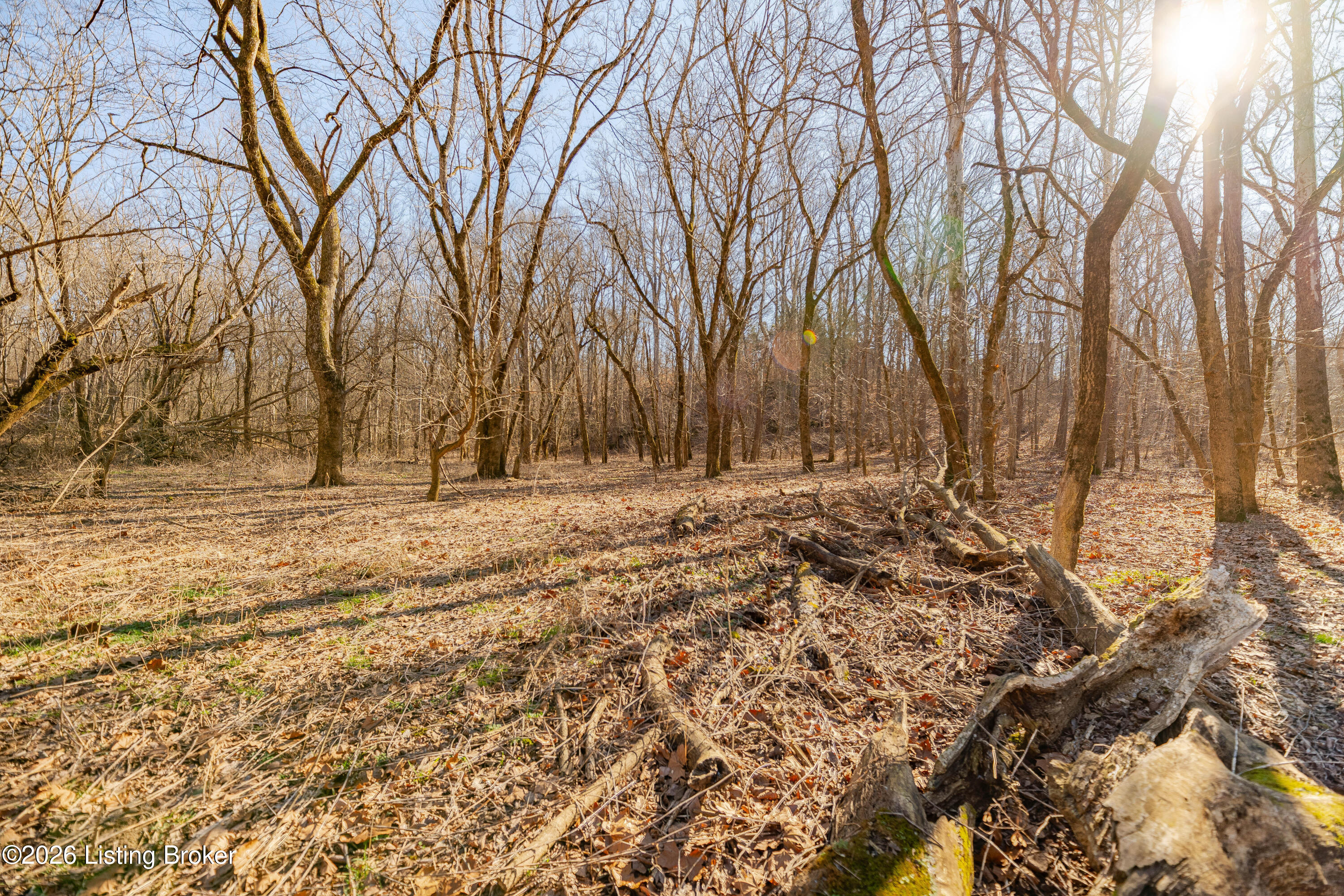 103 East Laurel River Road Shepherdsville, KY 40165 - Photo 9 of 13 DSC03419-HDR