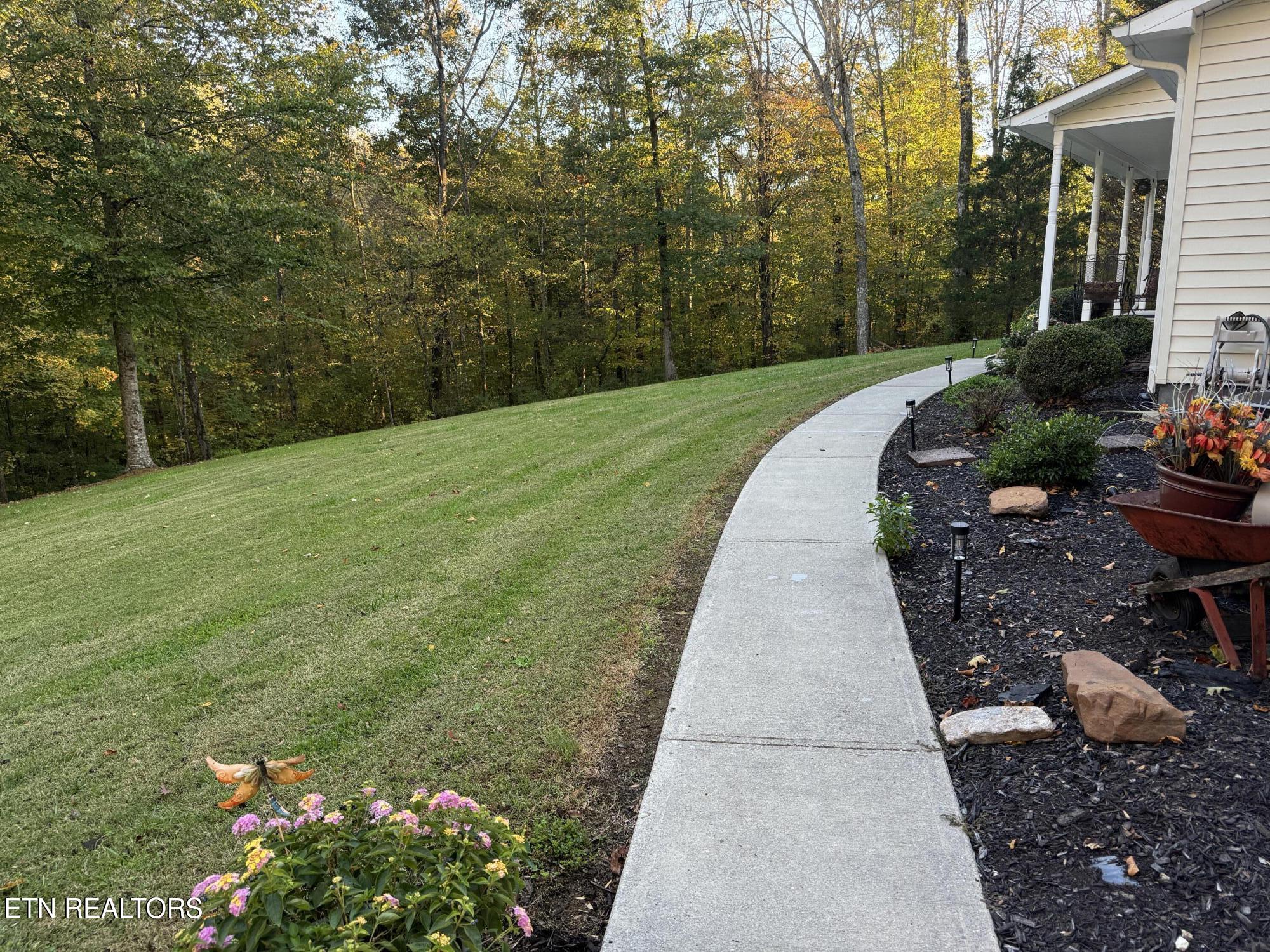 139 Butterfly Lane Heiskell, TN 37754 - Photo 7 of 36 IMG_7855 2