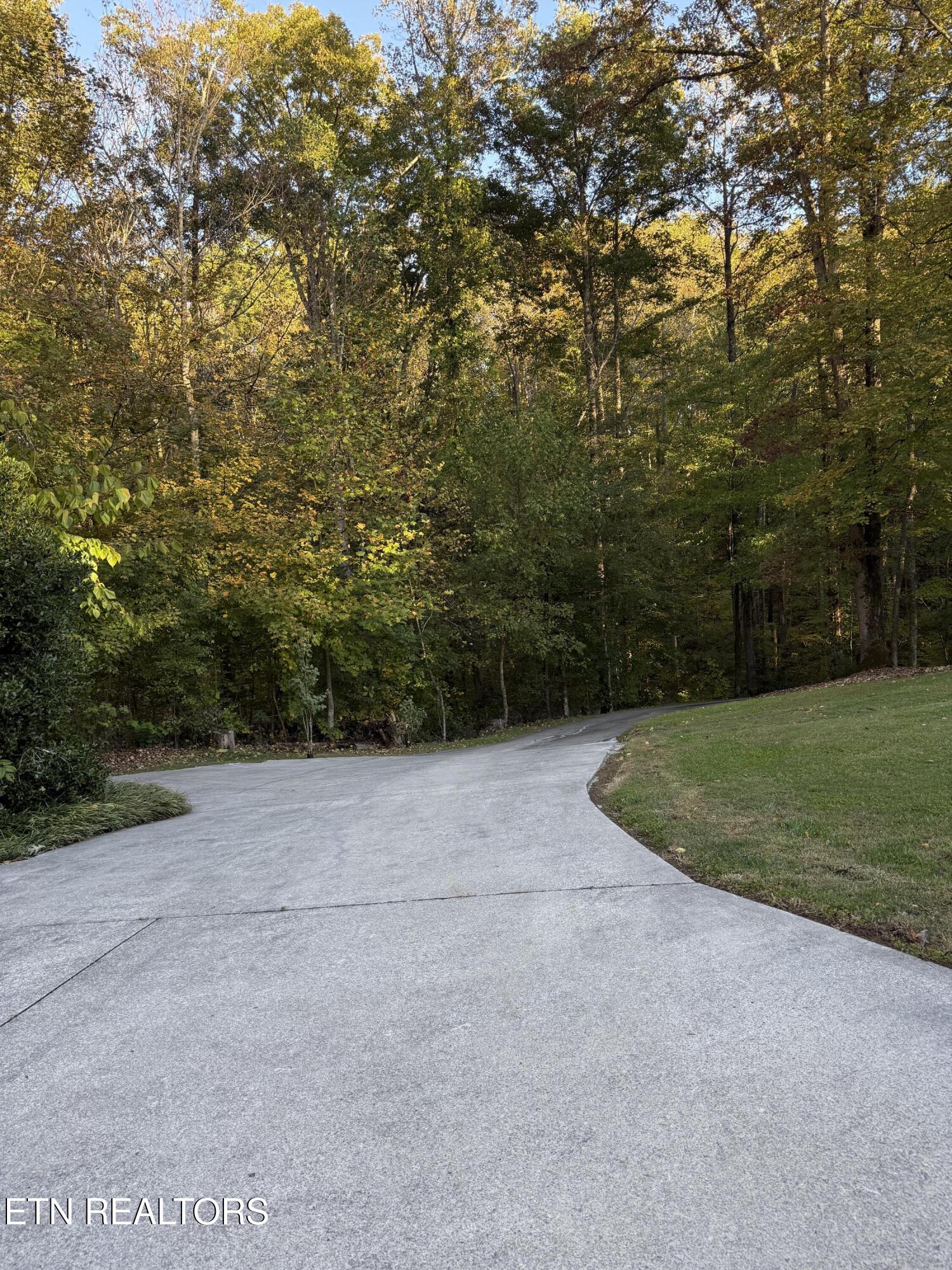 139 Butterfly Lane Heiskell, TN 37754 - Photo 9 of 36 IMG_7848 2