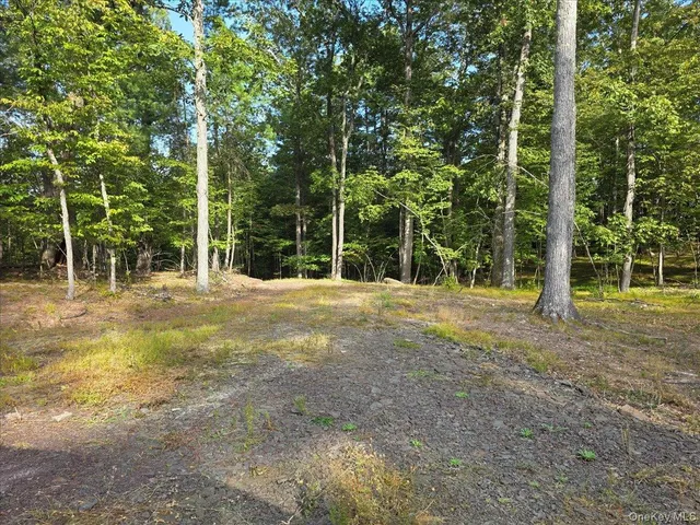 a view of outdoor space with trees