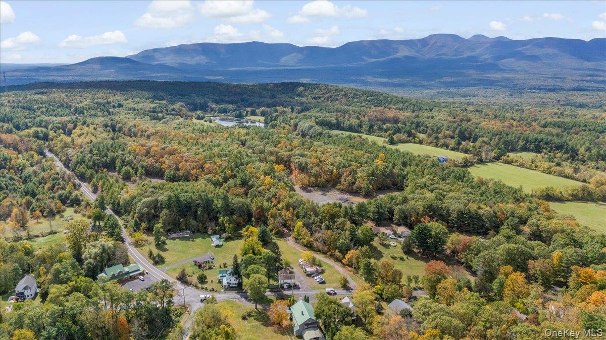 1927 County Route 67 Cairo, NY 12413 - Photo 13 of 16 a view of a lush green hillside and a houses