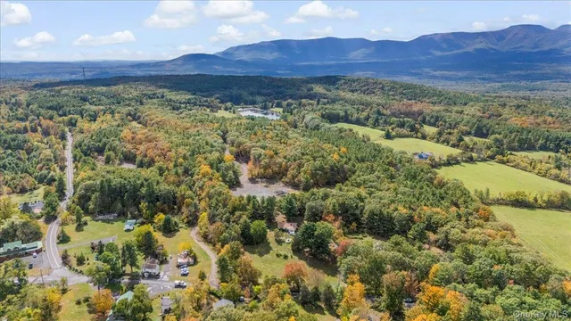 a view of a lush green hillside and a houses