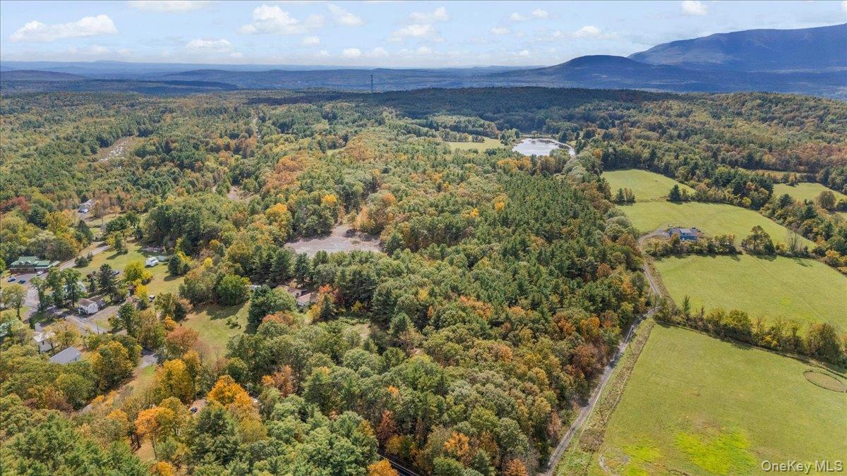 1927 County Route 67 Cairo, NY 12413 - Photo 15 of 16 a view of lake and mountain