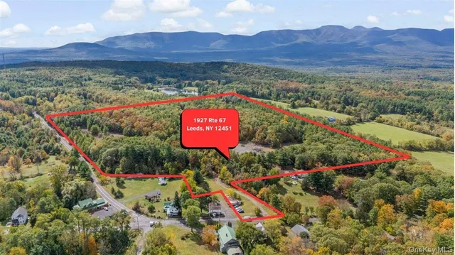 a view of a lush green hillside and a houses