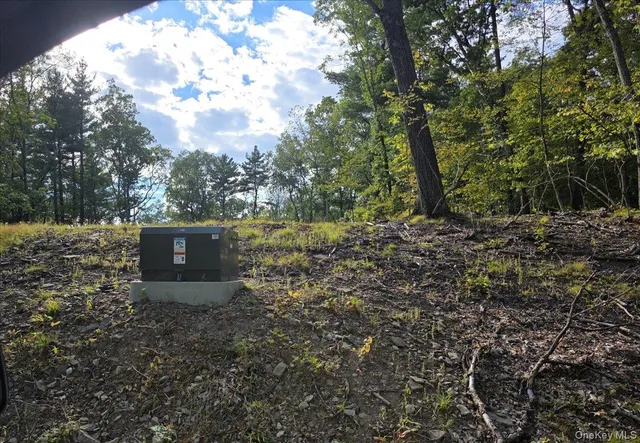 a view of a dry yard with trees