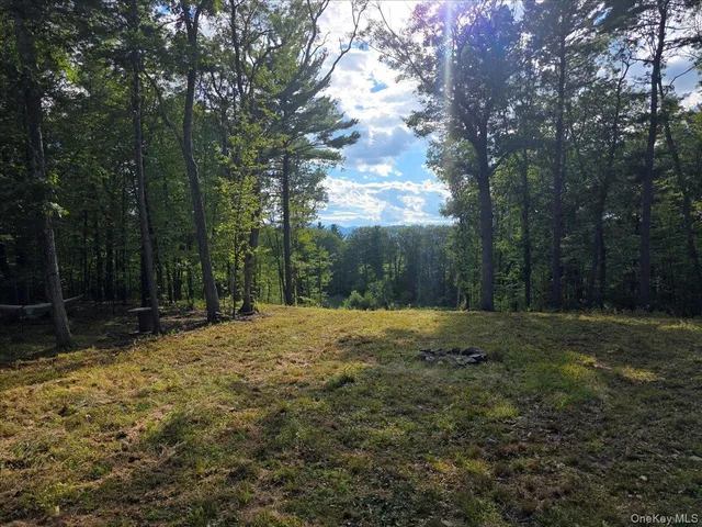 a yard with trees in the background