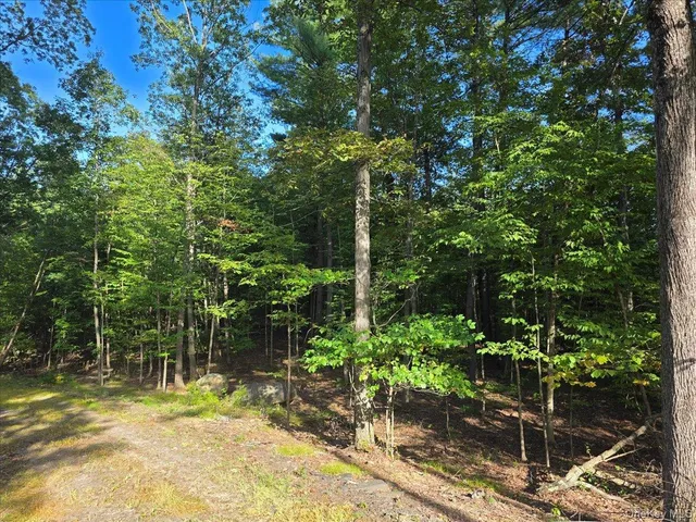 a backyard of a house with lots of trees