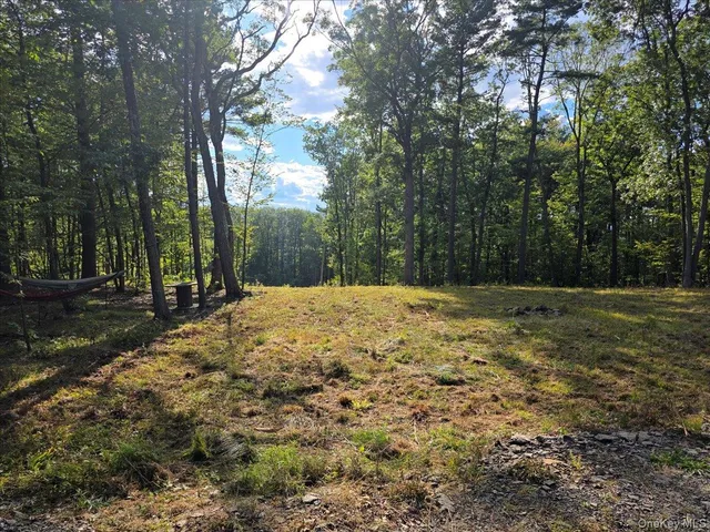 a view of backyard with tree