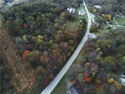 a view of a forest with trees in the background