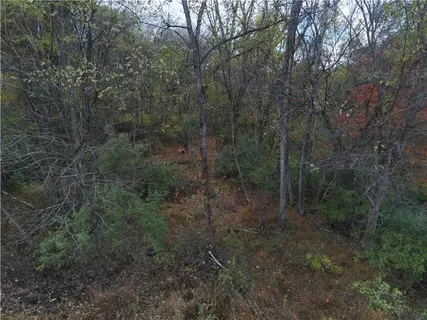 a view of a dry yard