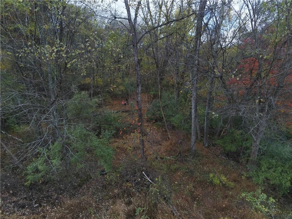 0 Leechburg Road Leechburg, PA 15656 - Photo 3 of 12 a view of a forest with trees in the background
