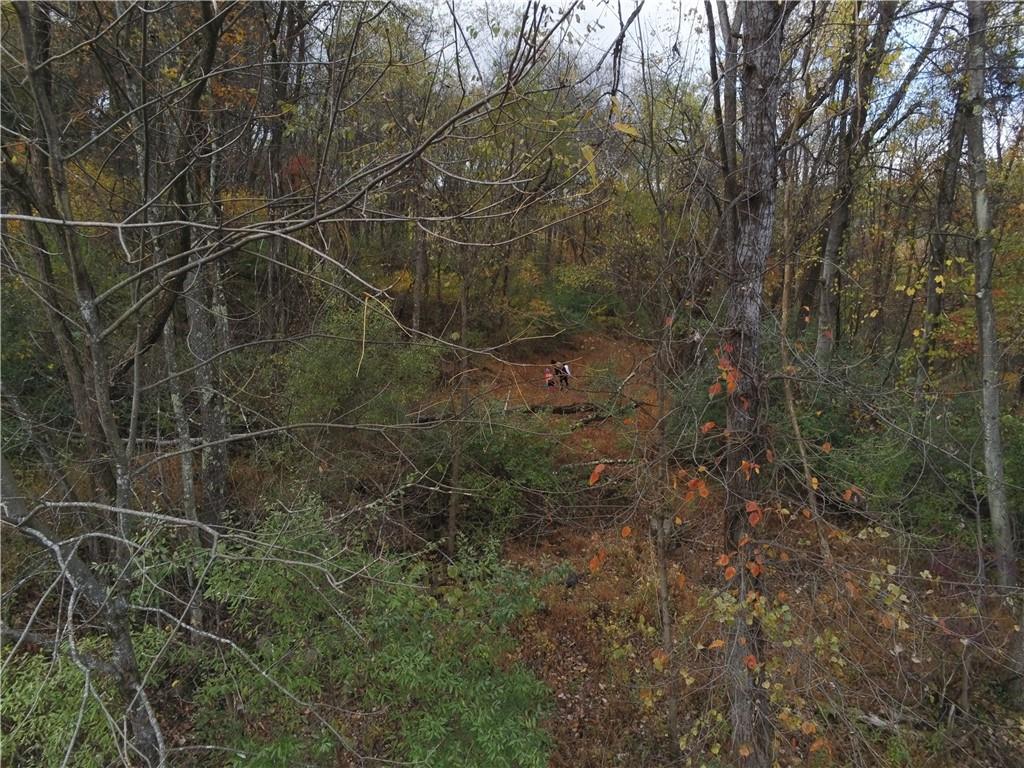 0 Leechburg Road Leechburg, PA 15656 - Photo 4 of 12 a view of a dry yard