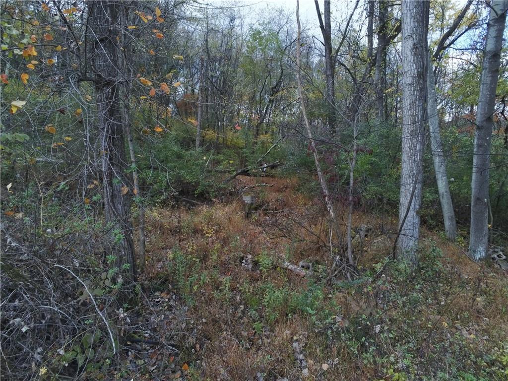 0 Leechburg Road Leechburg, PA 15656 - Photo 5 of 12 a view of a forest with trees in the background
