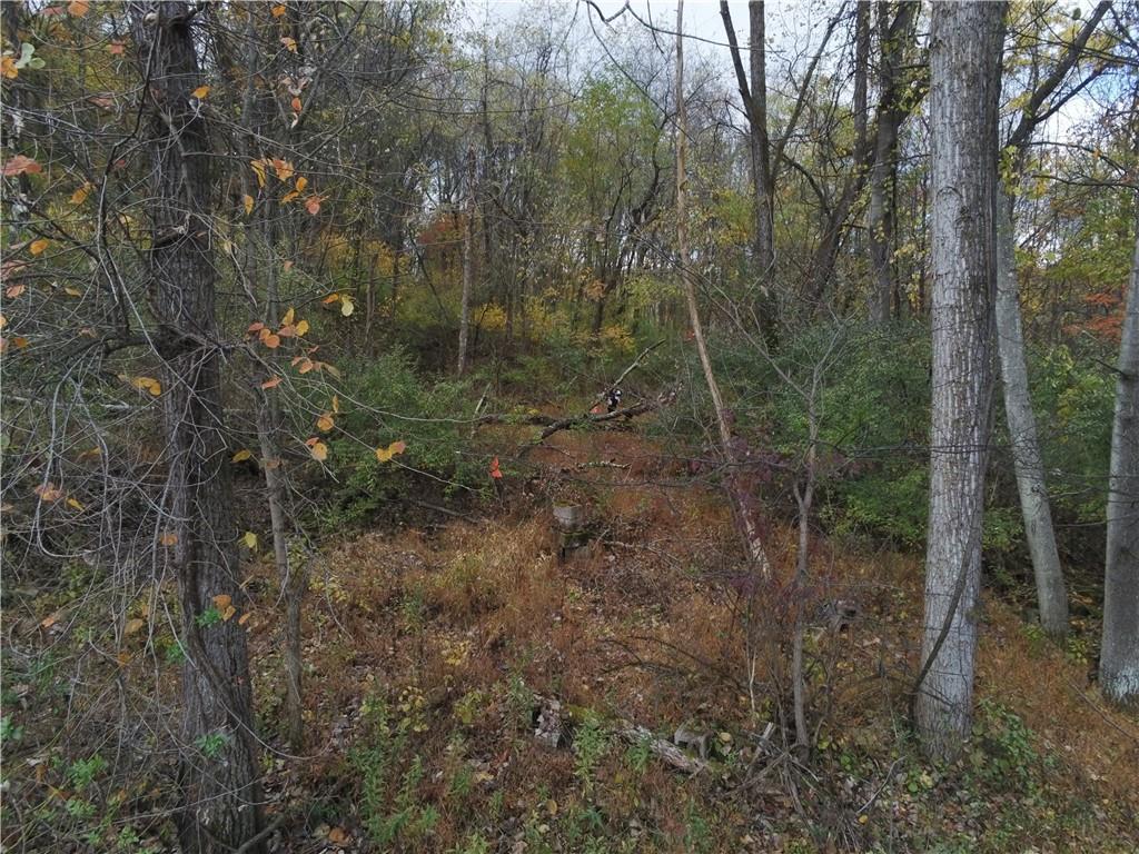 0 Leechburg Road Leechburg, PA 15656 - Photo 6 of 12 a view of a forest with trees