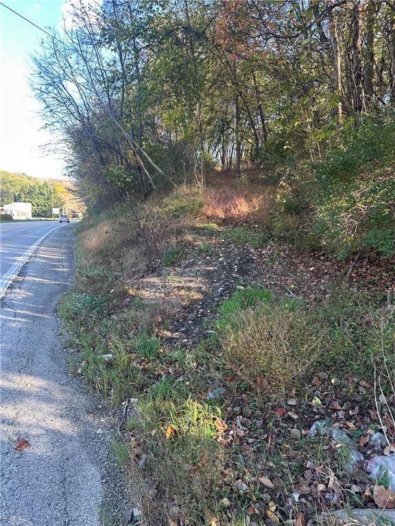 0 Leechburg Road Leechburg, PA 15656 - Photo 7 of 12 a view of a yard with plants and trees