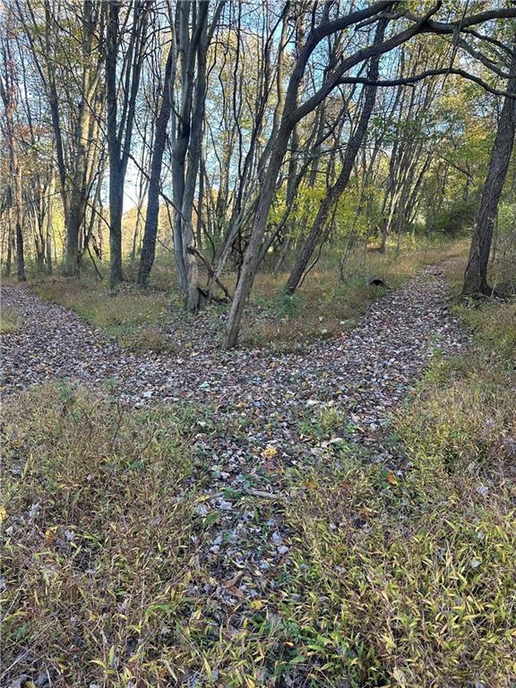0 Leechburg Road Leechburg, PA 15656 - Photo 8 of 12 a view of outdoor space with tree s