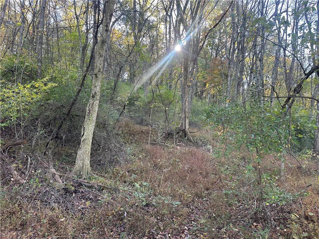 0 Leechburg Road Leechburg, PA 15656 - Photo 10 of 12 a view of a forest with trees in the background