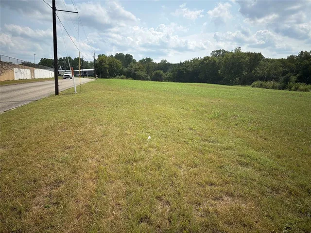 a view of a field with an tree