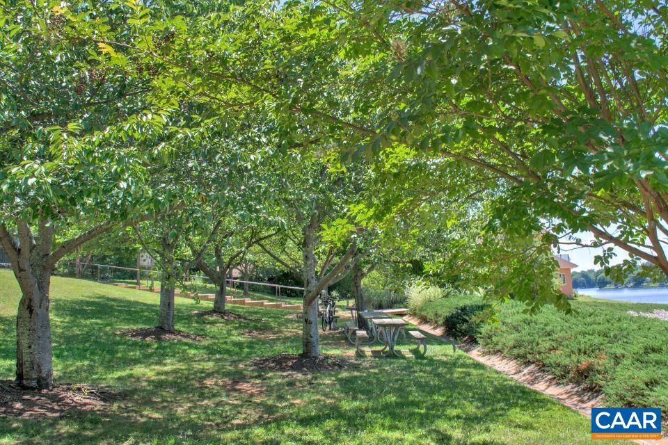 35 Haversack Road Palmyra, VA 22963 - Photo 41 of 44