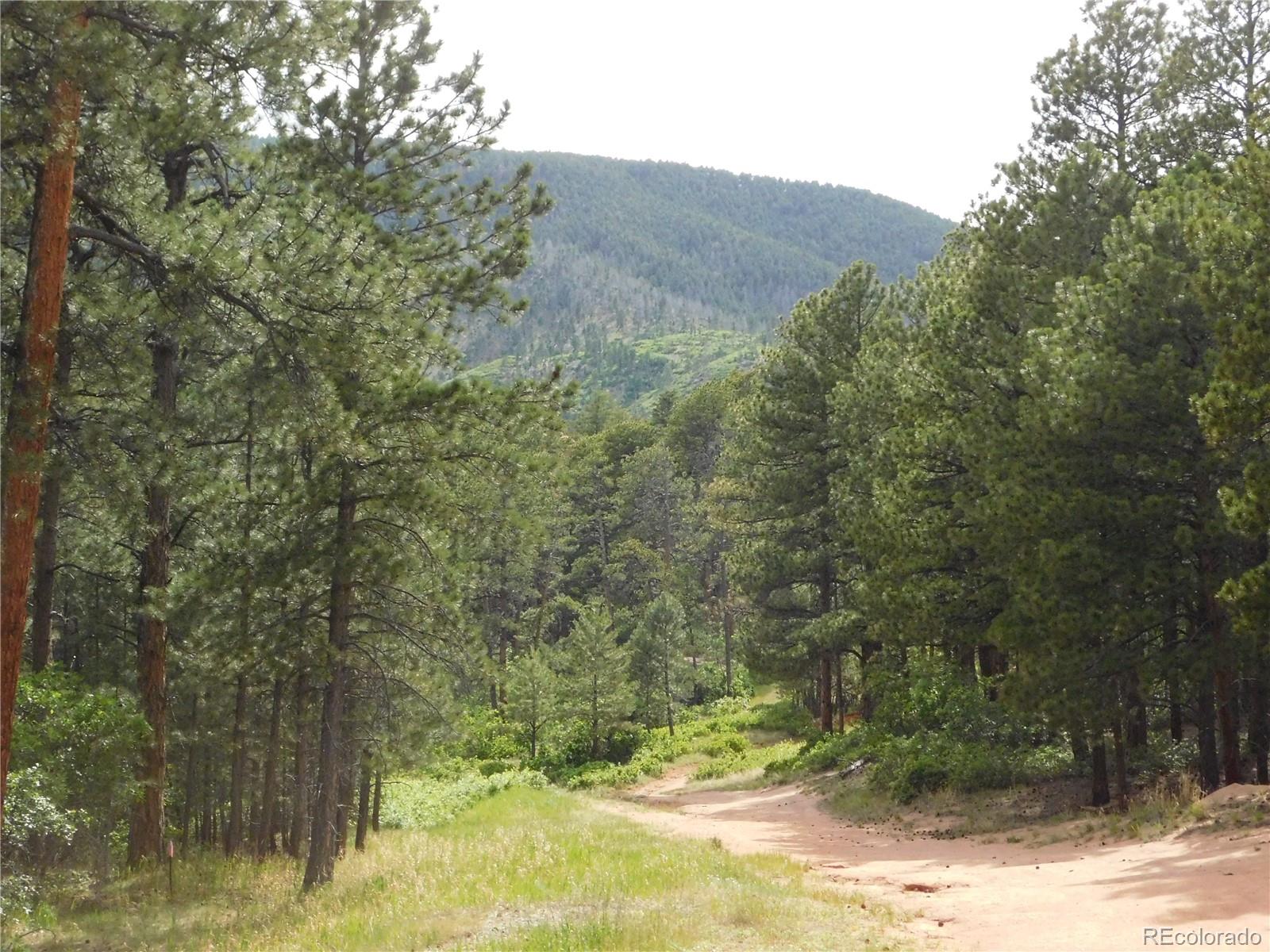 8356 Quivas Road Larkspur, CO 80118 - Photo 3 of 44