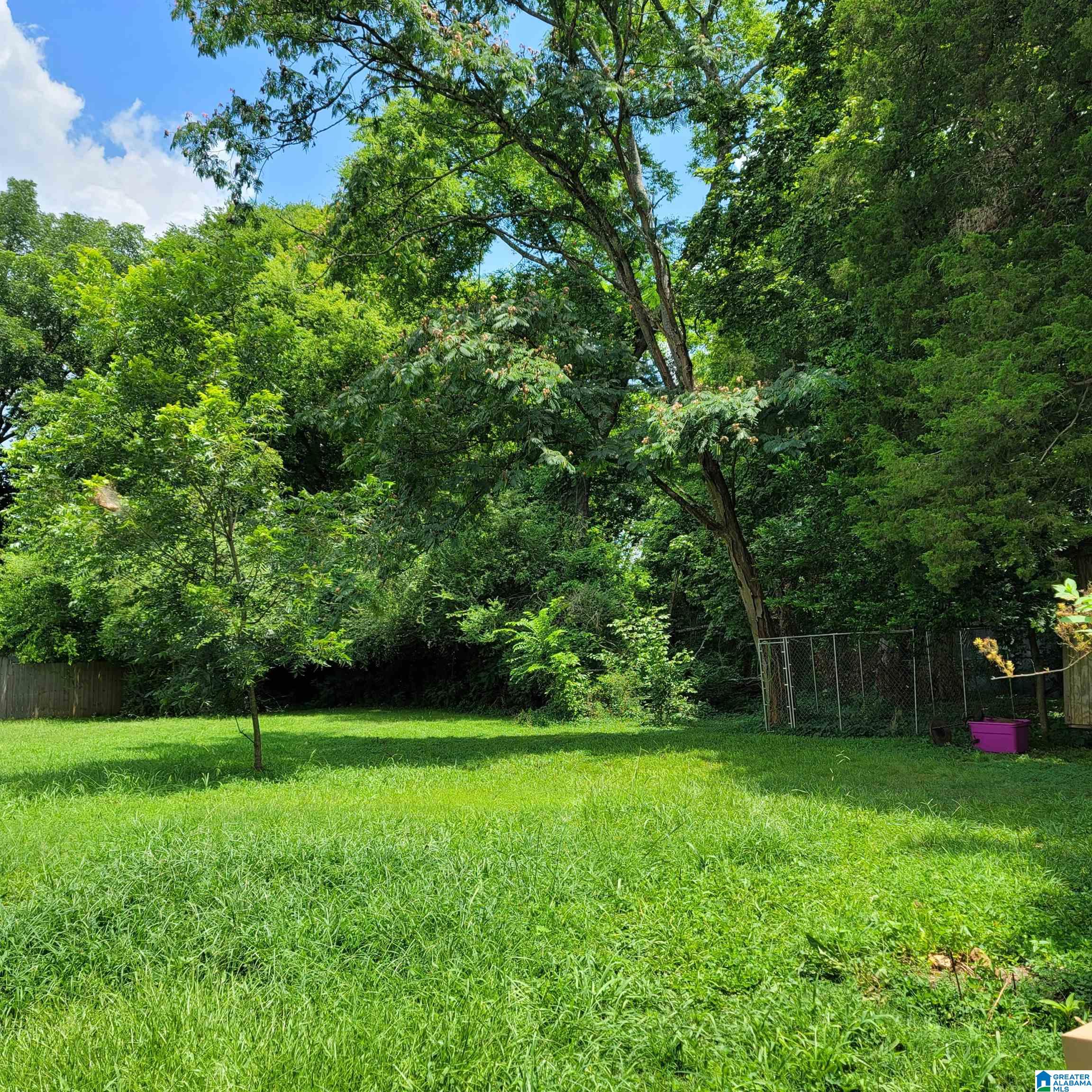 1625 Ray Street Northeast Leeds, AL 35094 - Photo 2 of 6