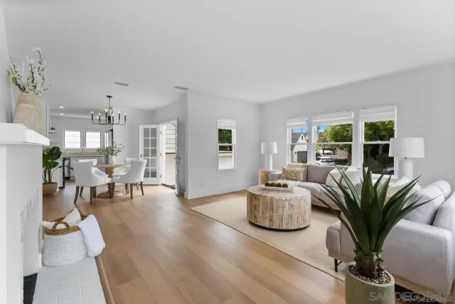 a living room with furniture potted plant and a window
