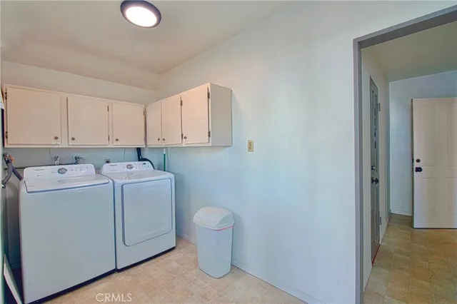 a view of a house with a small yard plants and large tree