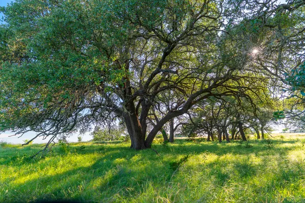 $219,900 | 28 Feild Ranch Road, Lampasas, TX 76550