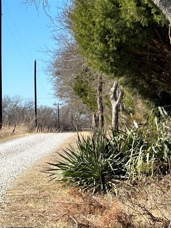 a view of a yard next to a road