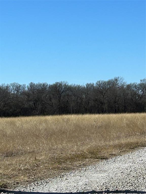 Tbd Flanary Road Sherman, TX 75092 - Photo 4 of 10 a view of patio and lake