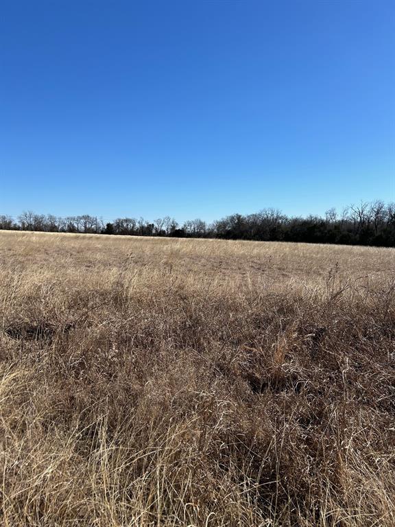 Tbd Flanary Road Sherman, TX 75092 - Photo 8 of 10 a view of mountain with lake view