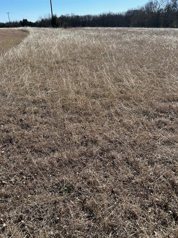 Tbd Flanary Road Sherman, TX 75092 - Photo 10 of 10 a view of lake from window