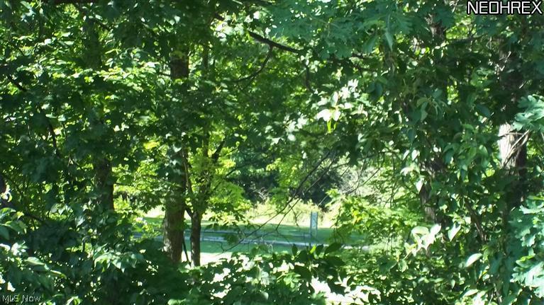 6466 State Road, Unit M4 Parma, OH 44134 - Photo 7 of 12 VIEW FROM THE BALCONY! 13TH GREEN AT RIDGEWOOD GOLF COURSE!!
