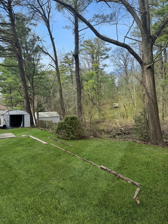 12 Evelyn Road Beverly, MA 01915 - Photo 33 of 37 a view of a backyard with a garden