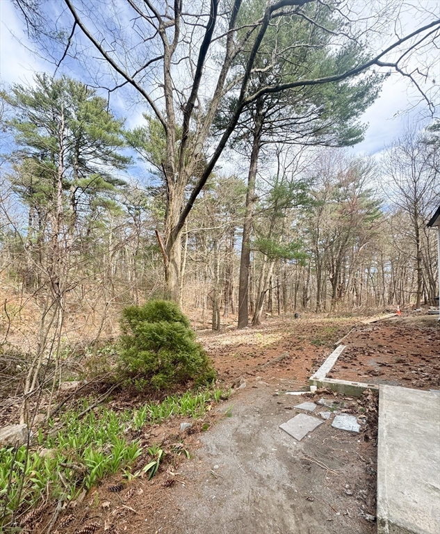12 Evelyn Road Beverly, MA 01915 - Photo 34 of 37 a view of a yard with plants and trees