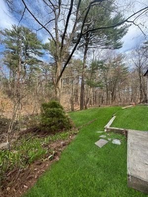 12 Evelyn Road Beverly, MA 01915 - Photo 35 of 37 a view of yard with green space