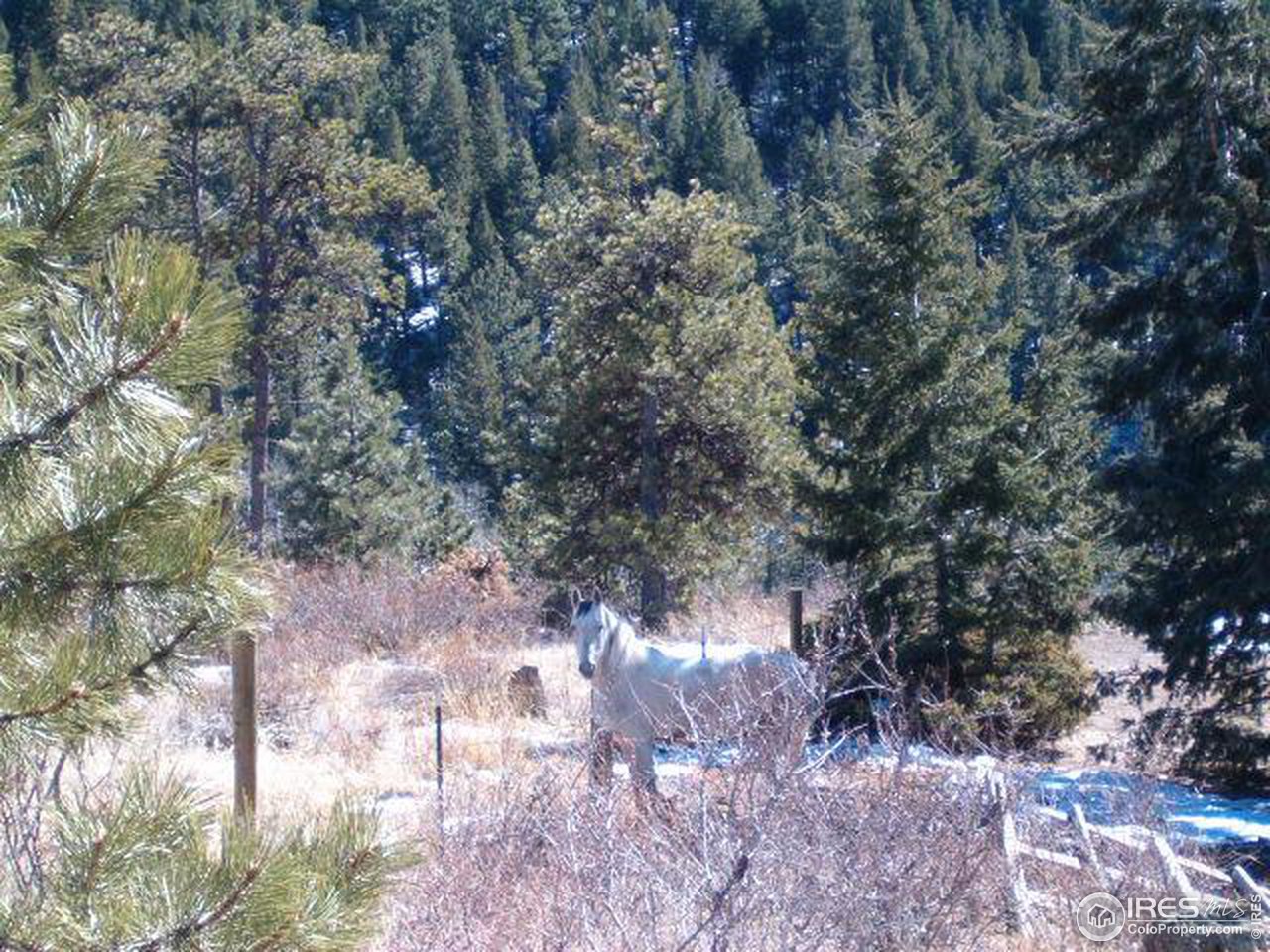 2600 Stratton Park Road Bellvue, CO 80512 - Photo 5 of 12