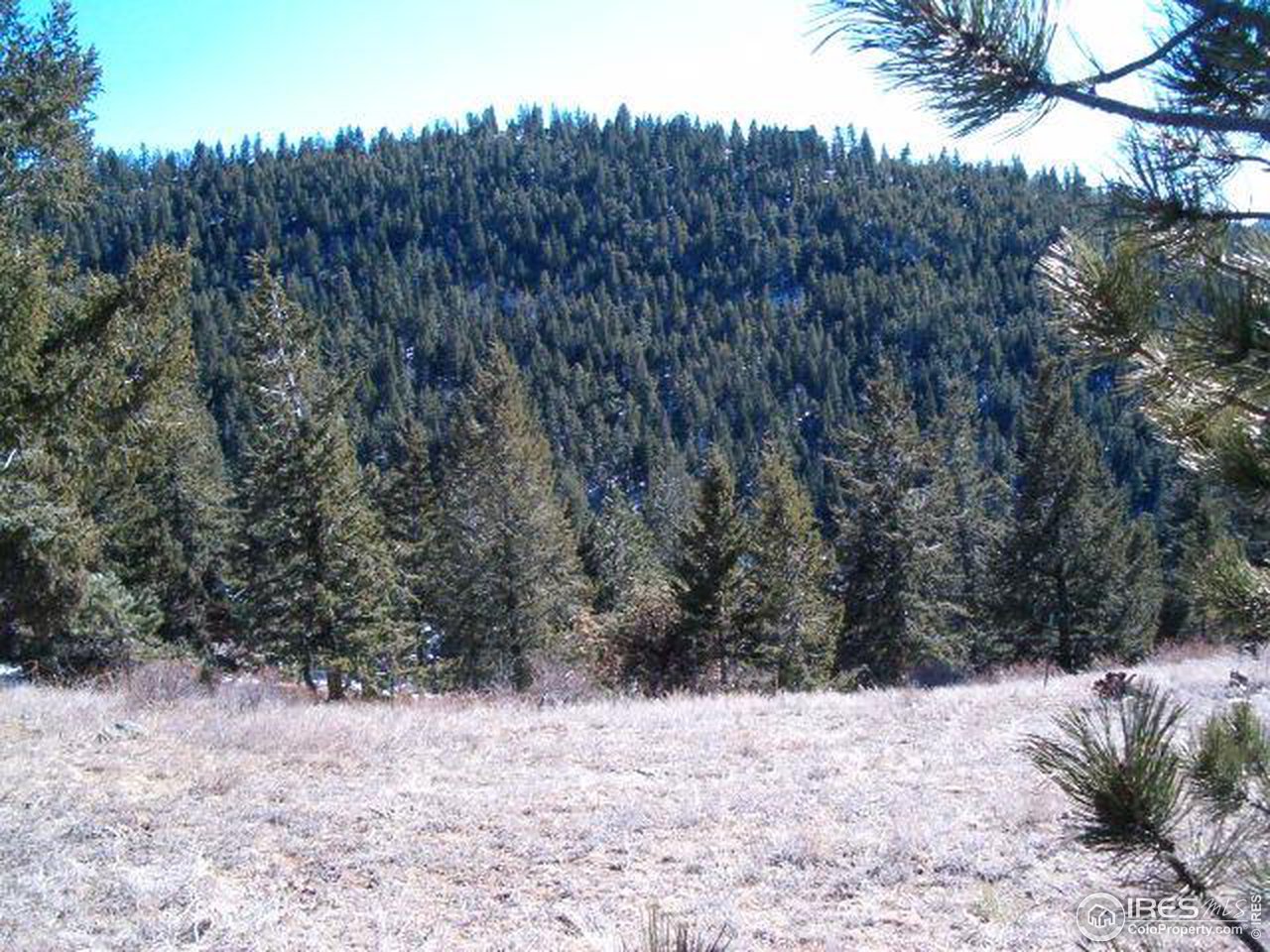 2600 Stratton Park Road Bellvue, CO 80512 - Photo 6 of 12