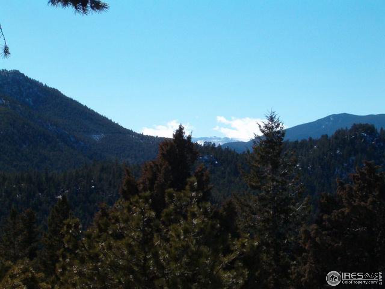 2600 Stratton Park Road Bellvue, CO 80512 - Photo 8 of 12