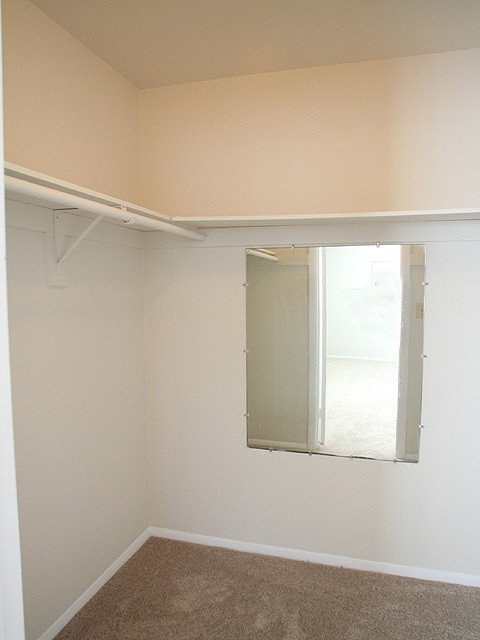 1114 Schaub Drive, Unit G Raleigh, NC 27606 - Photo 7 of 12 Master Closet