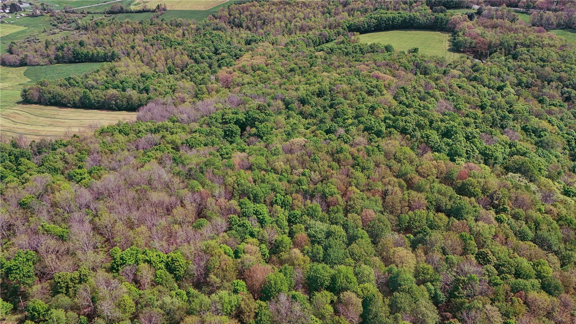 1799 Brownell Road Kortright, NY 13739 - Photo 36 of 42