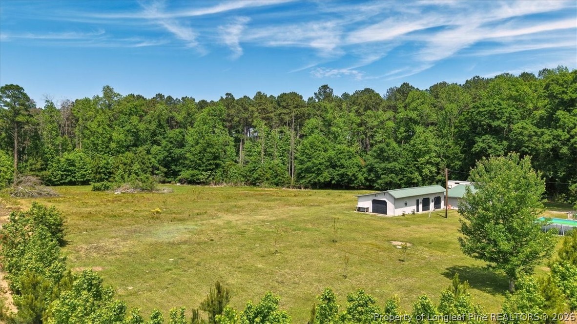 7266 Pleasant Hope Road Fairmont, NC 28340 - Photo 45 of 45 a view of a big yard with large trees