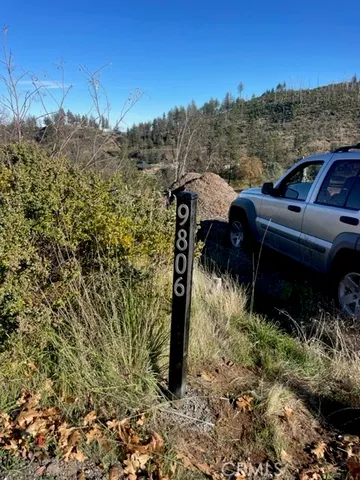 a view of a dry yard