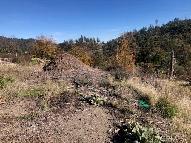 a view of a dry yard with trees in the background