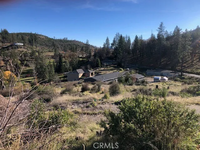 a view of a field with a tree in the background